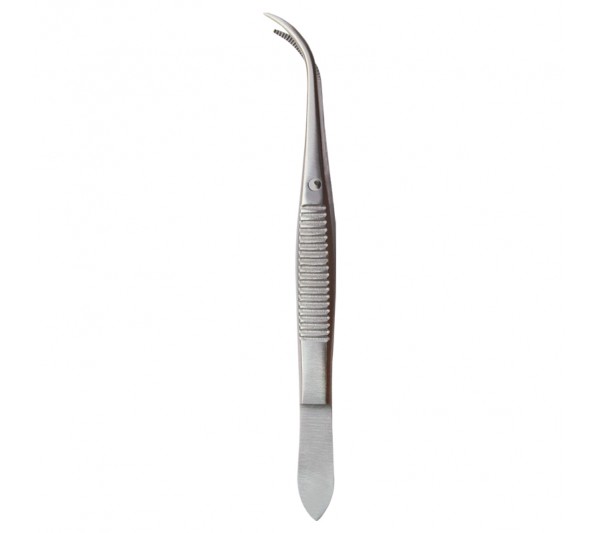 Delicate Dissecting Forcep